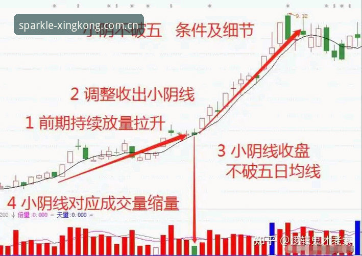 让每一颗星为你闪耀苹果V3注册iOS版 法网黑马逆袭教程:从资格赛到决赛的完整复盘