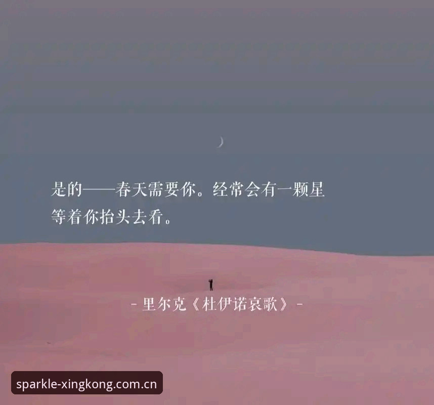 让每一颗星为你闪耀2025最新版下载 内行人拆解:让每一颗星为你闪耀2025最新版下载的真正打开方式